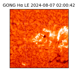 gong - 2024-08-07T02:00:42