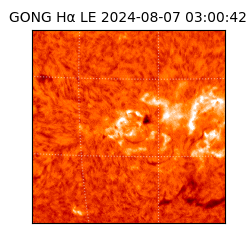 gong - 2024-08-07T03:00:42