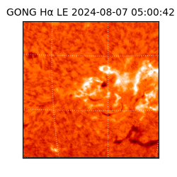 gong - 2024-08-07T05:00:42