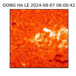 gong - 2024-08-07T06:00:42