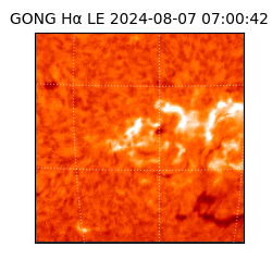 gong - 2024-08-07T07:00:42