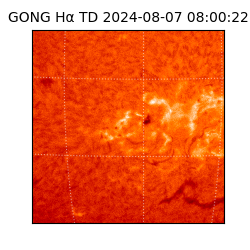 gong - 2024-08-07T08:00:22