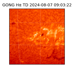 gong - 2024-08-07T09:03:22