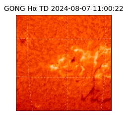 gong - 2024-08-07T11:00:22