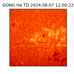 gong - 2024-08-07T12:00:22