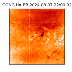 gong - 2024-08-07T22:00:02
