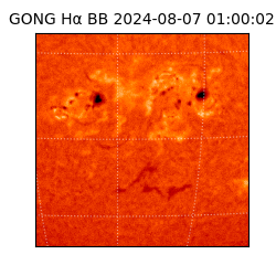 gong - 2024-08-07T01:00:02