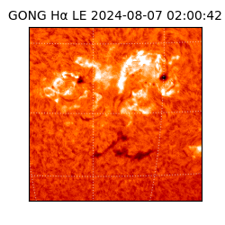 gong - 2024-08-07T02:00:42