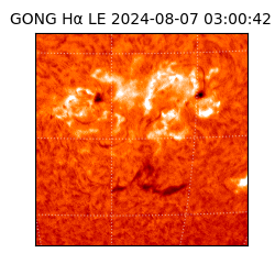 gong - 2024-08-07T03:00:42