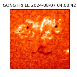 gong - 2024-08-07T04:00:42