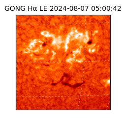 gong - 2024-08-07T05:00:42