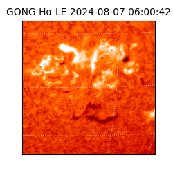 gong - 2024-08-07T06:00:42