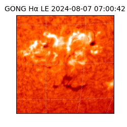 gong - 2024-08-07T07:00:42