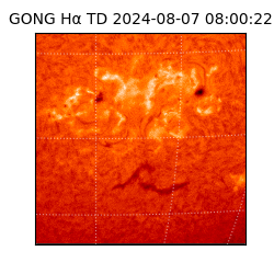 gong - 2024-08-07T08:00:22