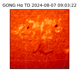 gong - 2024-08-07T09:03:22
