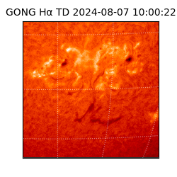 gong - 2024-08-07T10:00:22