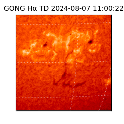 gong - 2024-08-07T11:00:22