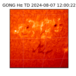 gong - 2024-08-07T12:00:22