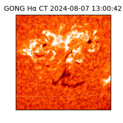 gong - 2024-08-07T13:00:42