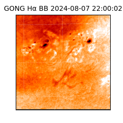 gong - 2024-08-07T22:00:02