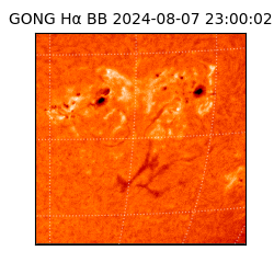 gong - 2024-08-07T23:00:02