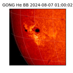 gong - 2024-08-07T01:00:02
