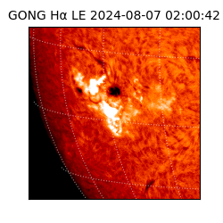 gong - 2024-08-07T02:00:42