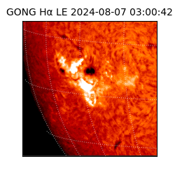 gong - 2024-08-07T03:00:42