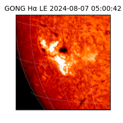 gong - 2024-08-07T05:00:42