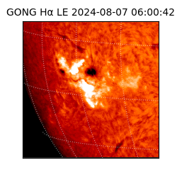 gong - 2024-08-07T06:00:42