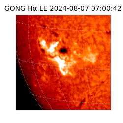 gong - 2024-08-07T07:00:42
