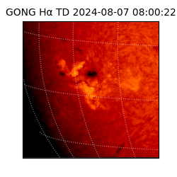 gong - 2024-08-07T08:00:22