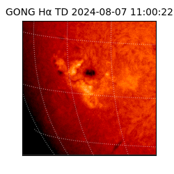 gong - 2024-08-07T11:00:22