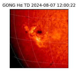 gong - 2024-08-07T12:00:22
