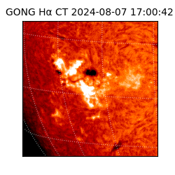gong - 2024-08-07T17:00:42