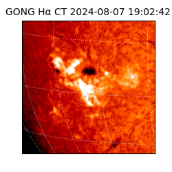 gong - 2024-08-07T19:02:42