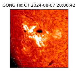gong - 2024-08-07T20:00:42