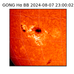 gong - 2024-08-07T23:00:02