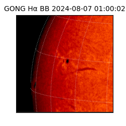 gong - 2024-08-07T01:00:02