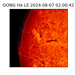 gong - 2024-08-07T02:00:42