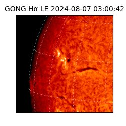 gong - 2024-08-07T03:00:42