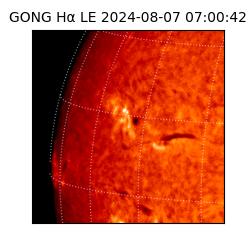 gong - 2024-08-07T07:00:42