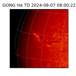 gong - 2024-08-07T08:00:22