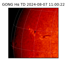 gong - 2024-08-07T11:00:22