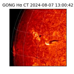 gong - 2024-08-07T13:00:42