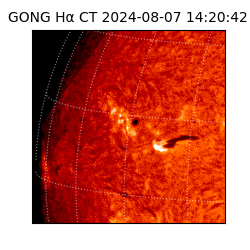 gong - 2024-08-07T14:20:42