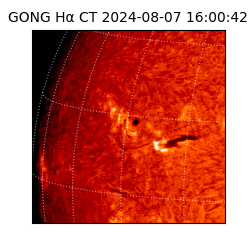 gong - 2024-08-07T16:00:42