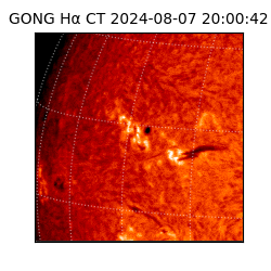 gong - 2024-08-07T20:00:42
