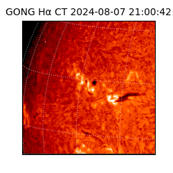 gong - 2024-08-07T21:00:42