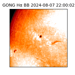 gong - 2024-08-07T22:00:02